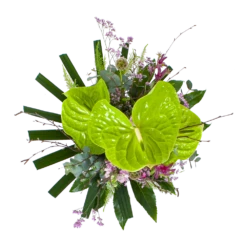 Voorkant -FloraHome Verkoopwinkel boeket anthurium boeketten 2 2