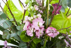 Boeket Anthurium Middel -FloraHome Verkoopwinkel boeket anthurium boeketten 3 2