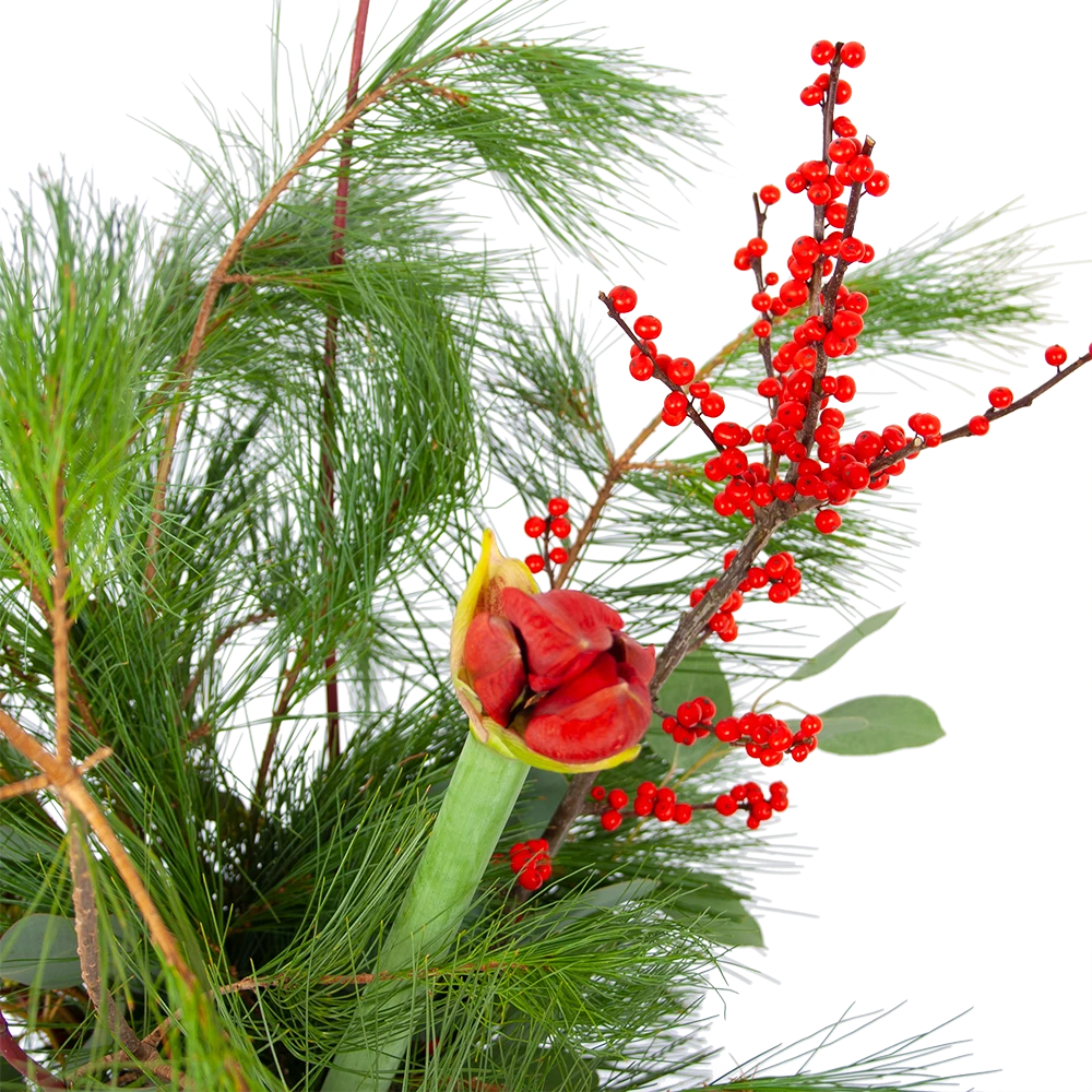 Boeket Deluxe Winter Middel 4 Boeket Deluxe Winter Middel - Afbeelding 2