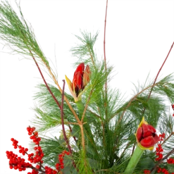 Boeket Deluxe Winter Groot -FloraHome Verkoopwinkel boeket deluxe winter boeketten 3 1 2