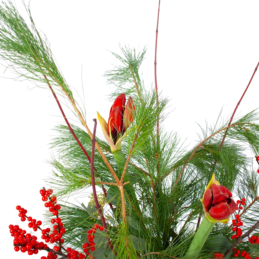 Boeket Deluxe Winter Middel 5 Boeket Deluxe Winter Middel - Afbeelding 3