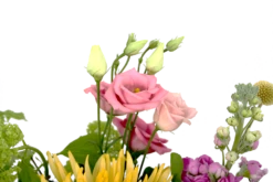 Boeket Eline Middel -FloraHome Verkoopwinkel boeket eline boeketten 4 1