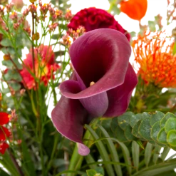 Boeket Herfst Warmte Middel 11 Boeket Herfst Warmte Middel -FloraHome Verkoopwinkel boeket herfst warmte middel boeketten 4