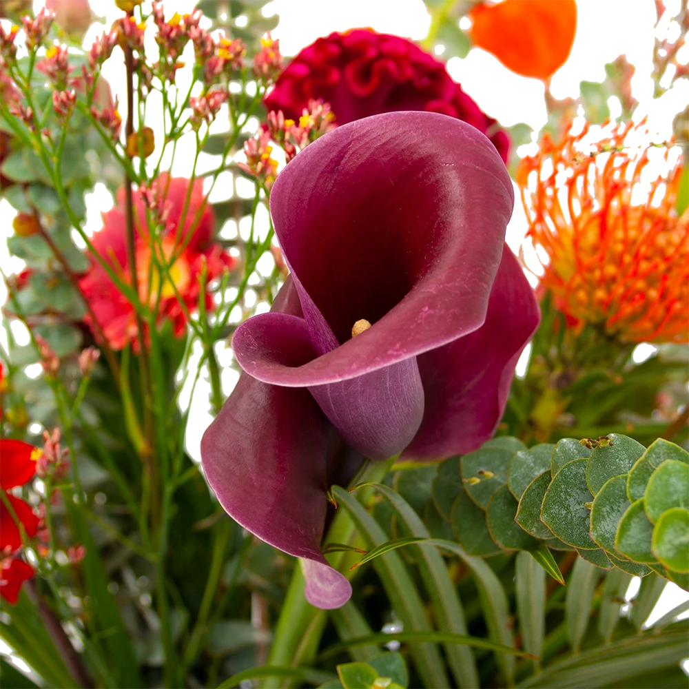 Boeket Herfst Warmte Middel 6 Boeket Herfst Warmte Middel - Afbeelding 4