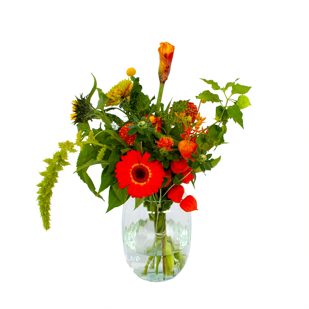 Boeket Herfst Uit Het Veld Klein 3 Boeket Herfst Uit Het Veld Klein