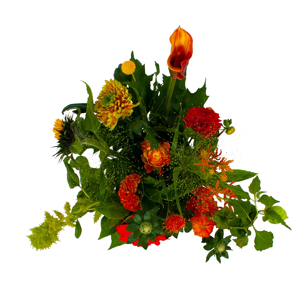 Boeket Herfst Uit Het Veld Klein 4 Boeket Herfst Uit Het Veld Klein - Afbeelding 2