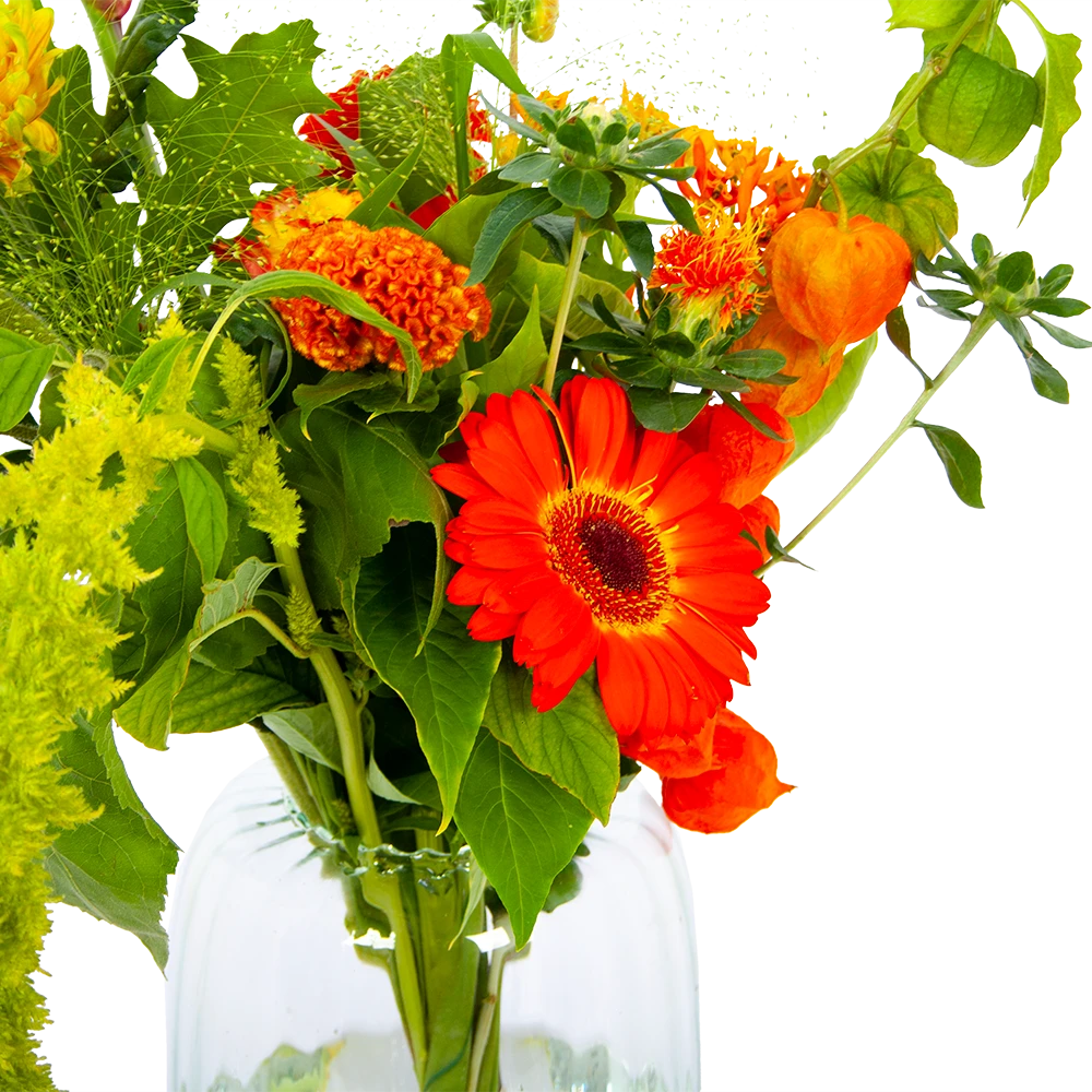 Boeket Herfst Uit Het Veld Klein 5 Boeket Herfst Uit Het Veld Klein - Afbeelding 3