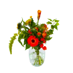 Boeket Herfst Uit Het Veld Middel