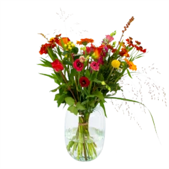 Boeket Hippe Herfst Middel