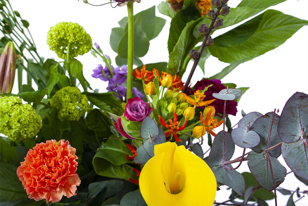 Boeket Judith Klein 5 Boeket Judith Klein - Afbeelding 3