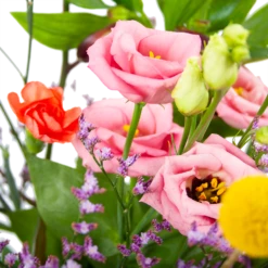 Boeket Kleurrijk Geplukt Groot -FloraHome Verkoopwinkel boeket kleurrijk geplukt boeketten 3