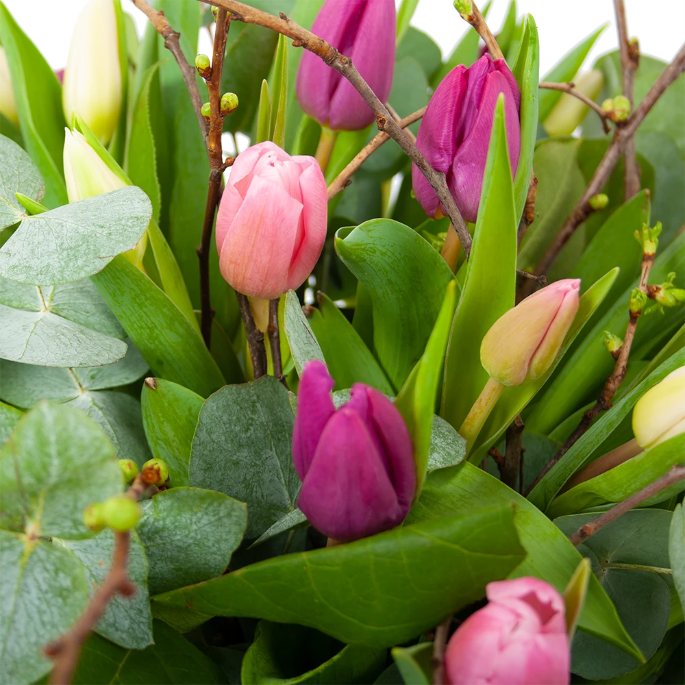 Boeket Kleurrijke Tulp Klein 5 Boeket Kleurrijke Tulp Klein - Afbeelding 3