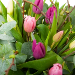 Boeket Kleurrijke Tulp Middel -FloraHome Verkoopwinkel boeket kleurrijke tulp boeketten 3 2