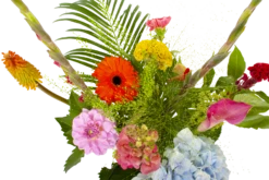 Boeket Lach Groot -FloraHome Verkoopwinkel boeket lach boeketten 3 1 1