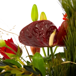 Boeket Liefdevolle Kerst Klein -FloraHome Verkoopwinkel boeket liefdevolle kerst boeketten 4 1