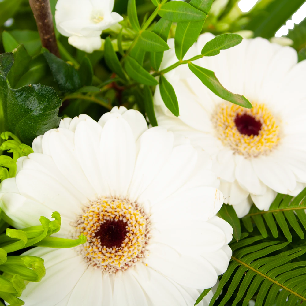 Boeket Liefdevolle Winter Middel 4 Boeket Liefdevolle Winter Middel - Afbeelding 2