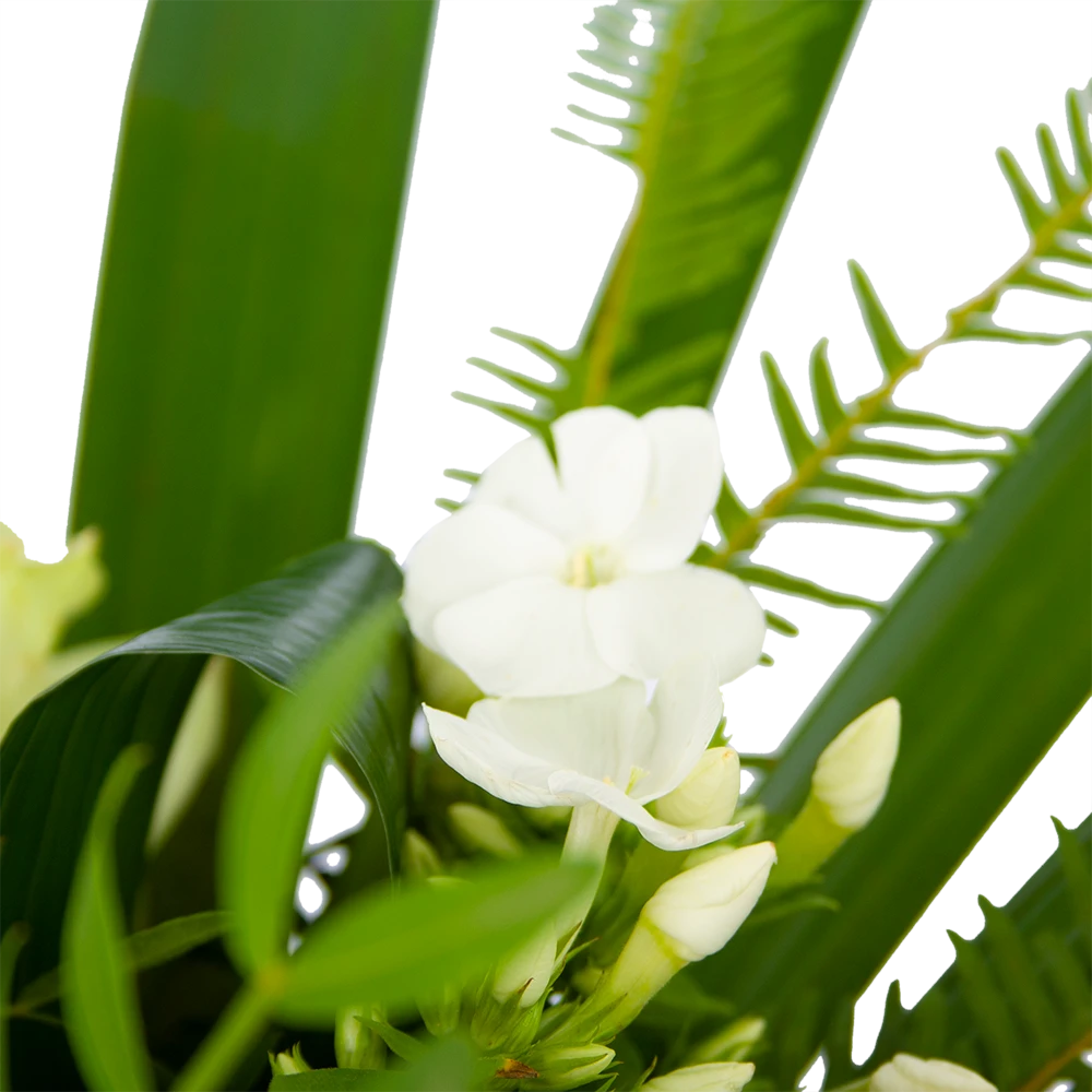 Boeket Liefdevolle Winter Middel 5 Boeket Liefdevolle Winter Middel - Afbeelding 3