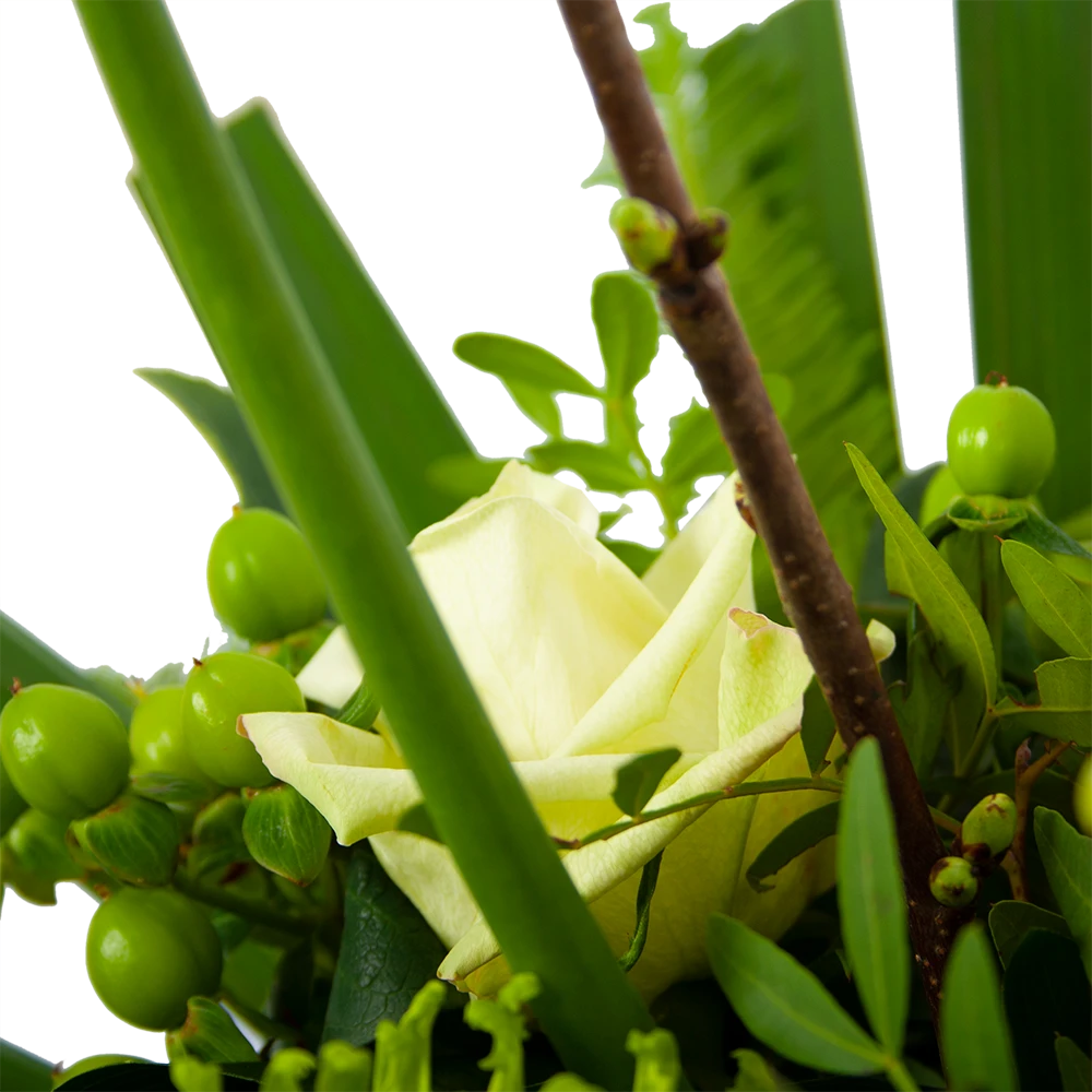 Boeket Liefdevolle Winter Middel 6 Boeket Liefdevolle Winter Middel - Afbeelding 4