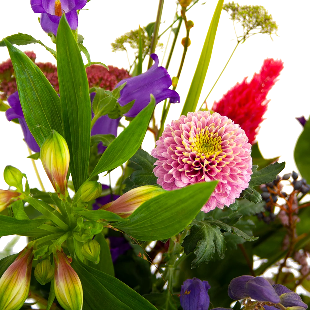 Boeket Paarse Passie Groot 6 Boeket Paarse Passie Groot - Afbeelding 4