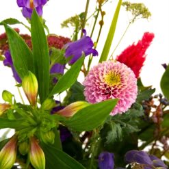 Boeket Paarse Passie Klein -FloraHome Verkoopwinkel boeket paarse passie klein boeketten 4