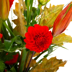 Boeket Pluim Van Het Najaar Middel -FloraHome Verkoopwinkel boeket pluim van het najaar middel boeketten 3