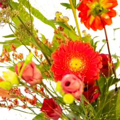 Boeket Plukgeluk Klein -FloraHome Verkoopwinkel boeket plukgeluk klein boeketten 3