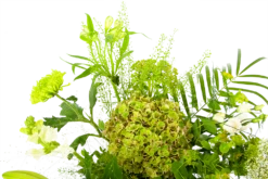 Boeket Puur Natuur Klein -FloraHome Verkoopwinkel boeket puur natuur boeketten 4 1 1