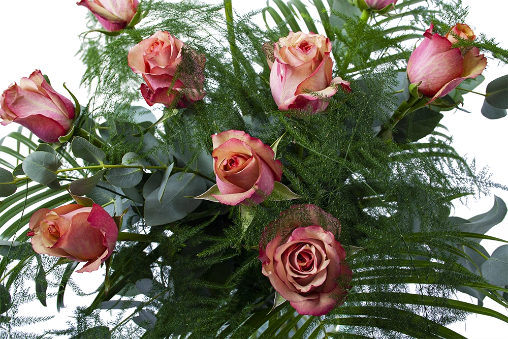 Boeket Rosa Roze Groot 5 Boeket Rosa Roze Groot - Afbeelding 3