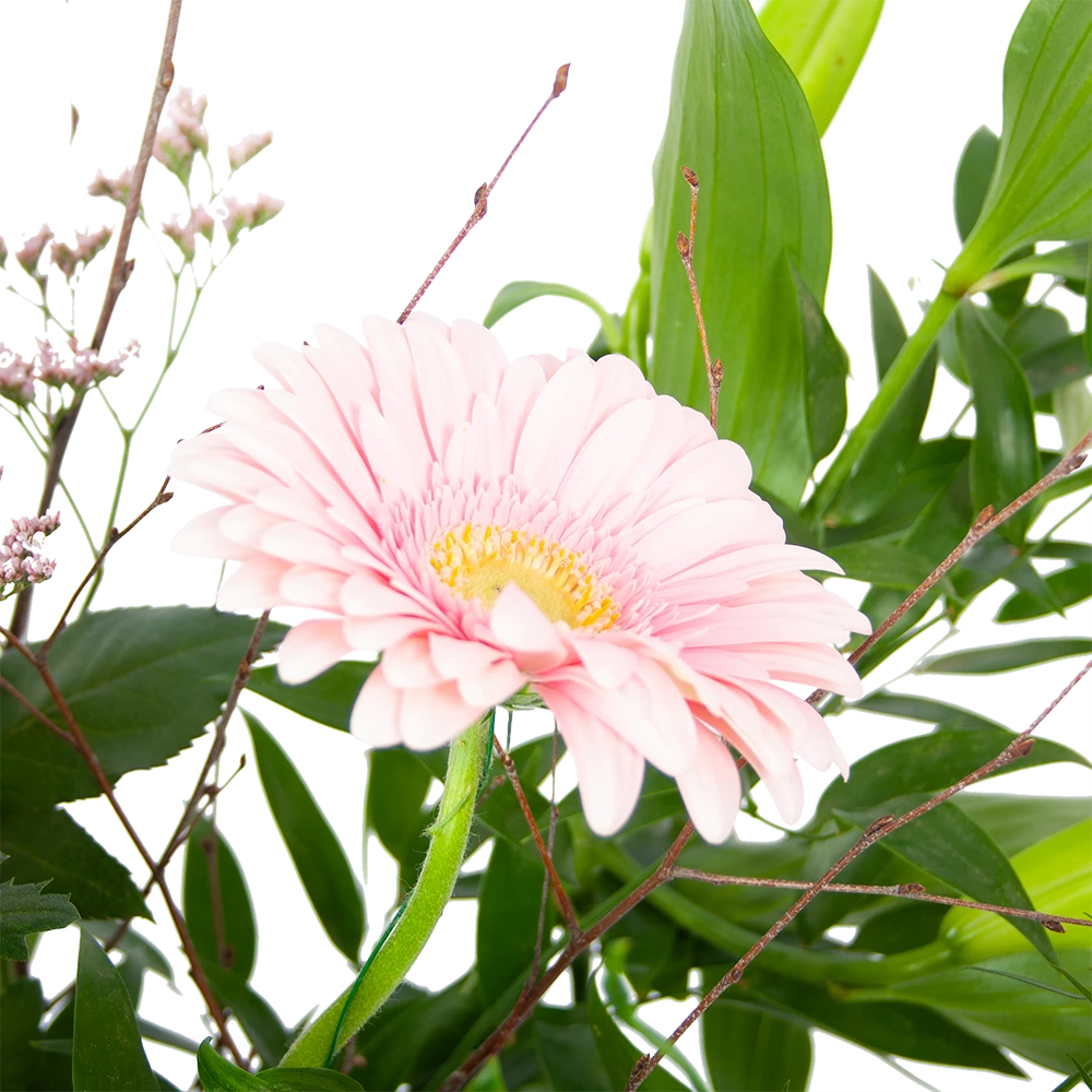 Boeket Roze Verrassing Groot 4 Boeket Roze Verrassing Groot - Afbeelding 2