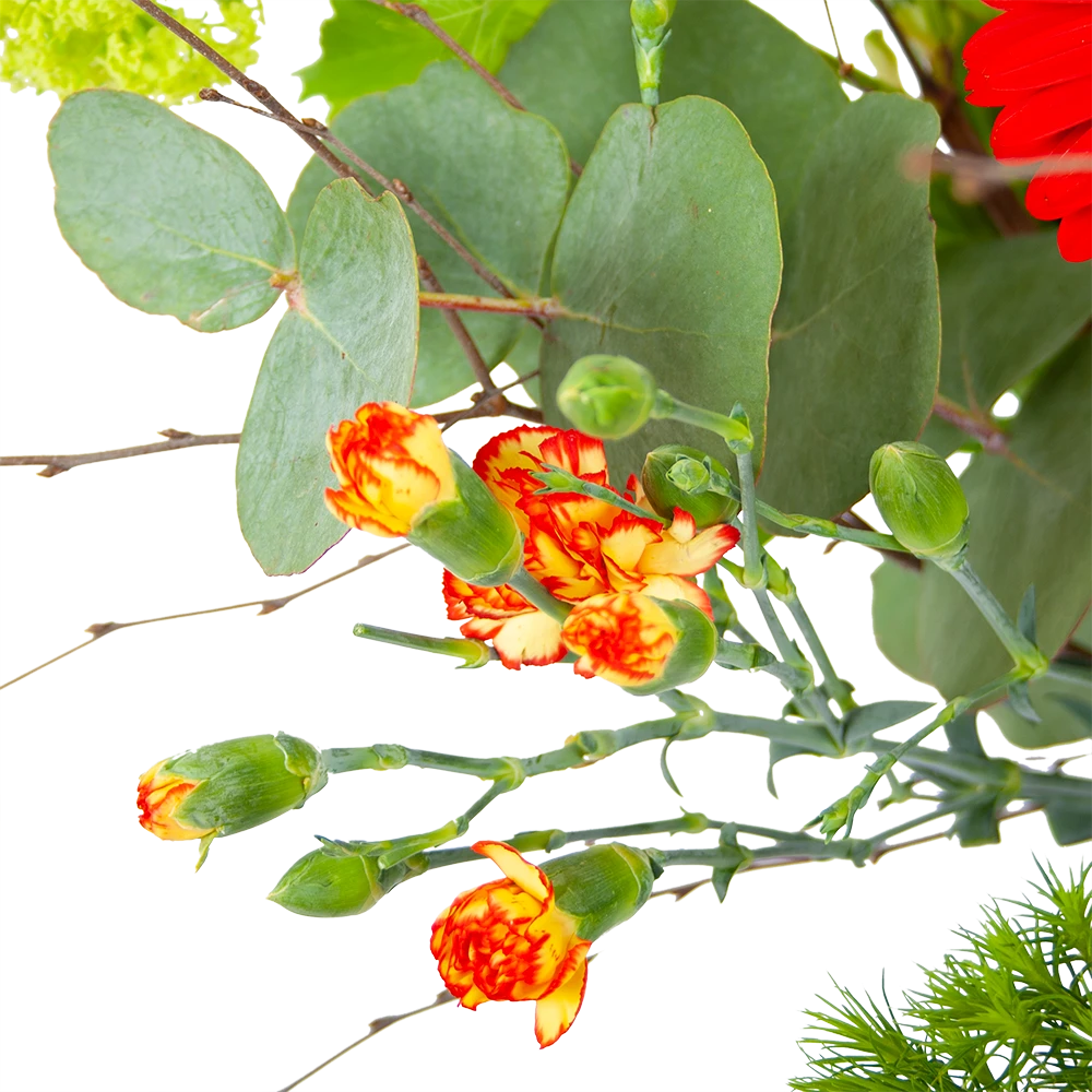 Boeket Speciale Verrassing Klein 4 Boeket Speciale Verrassing Klein - Afbeelding 2