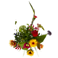 Boeket Vlinder Groot 9 Boeket Vlinder Groot -FloraHome Verkoopwinkel boeket vlinder boeketten 2 3 2