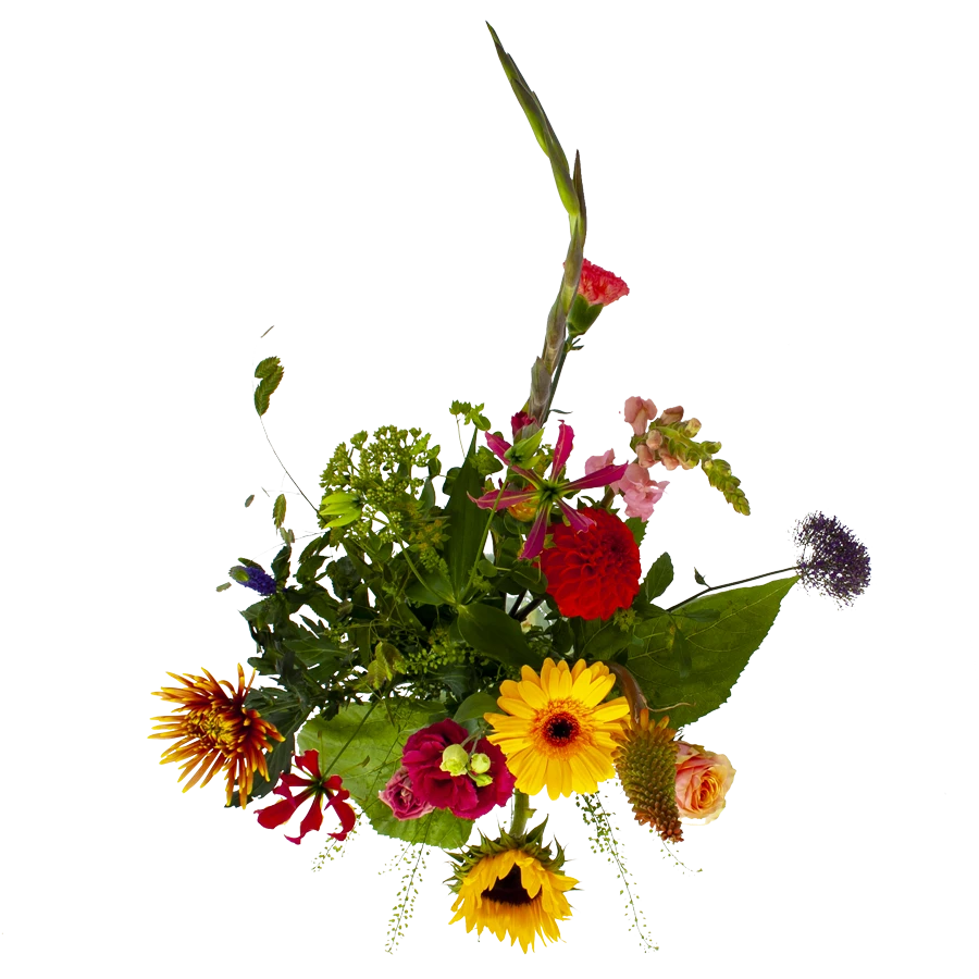 Boeket Vlinder Groot 4 Boeket Vlinder Groot - Afbeelding 2