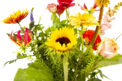 Boeket Vlinder Middel -FloraHome Verkoopwinkel boeket vlinder boeketten 3 3 1