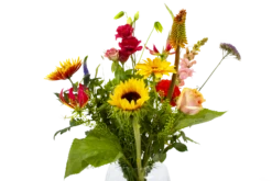 Boeket Vlinder Groot 11 Boeket Vlinder Groot -FloraHome Verkoopwinkel boeket vlinder boeketten 4 3 2