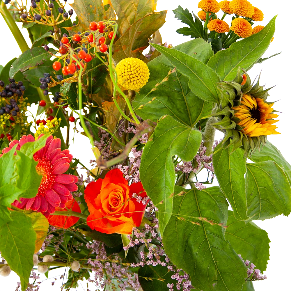 Boeket Vrolijk Groot 6 Boeket Vrolijk Groot - Afbeelding 4