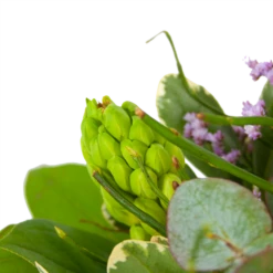 Boeket Vrolijk Seizoen Middel -FloraHome Verkoopwinkel boeket vrolijk seizoen boeketten 3