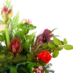 Boeket Winters Groot -FloraHome Verkoopwinkel boeket winters boeketten 2 1
