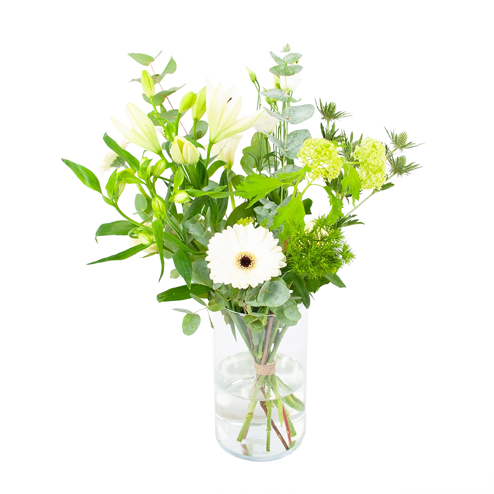 Boeket Wit Gebaar Groot 3 Boeket Wit Gebaar Groot