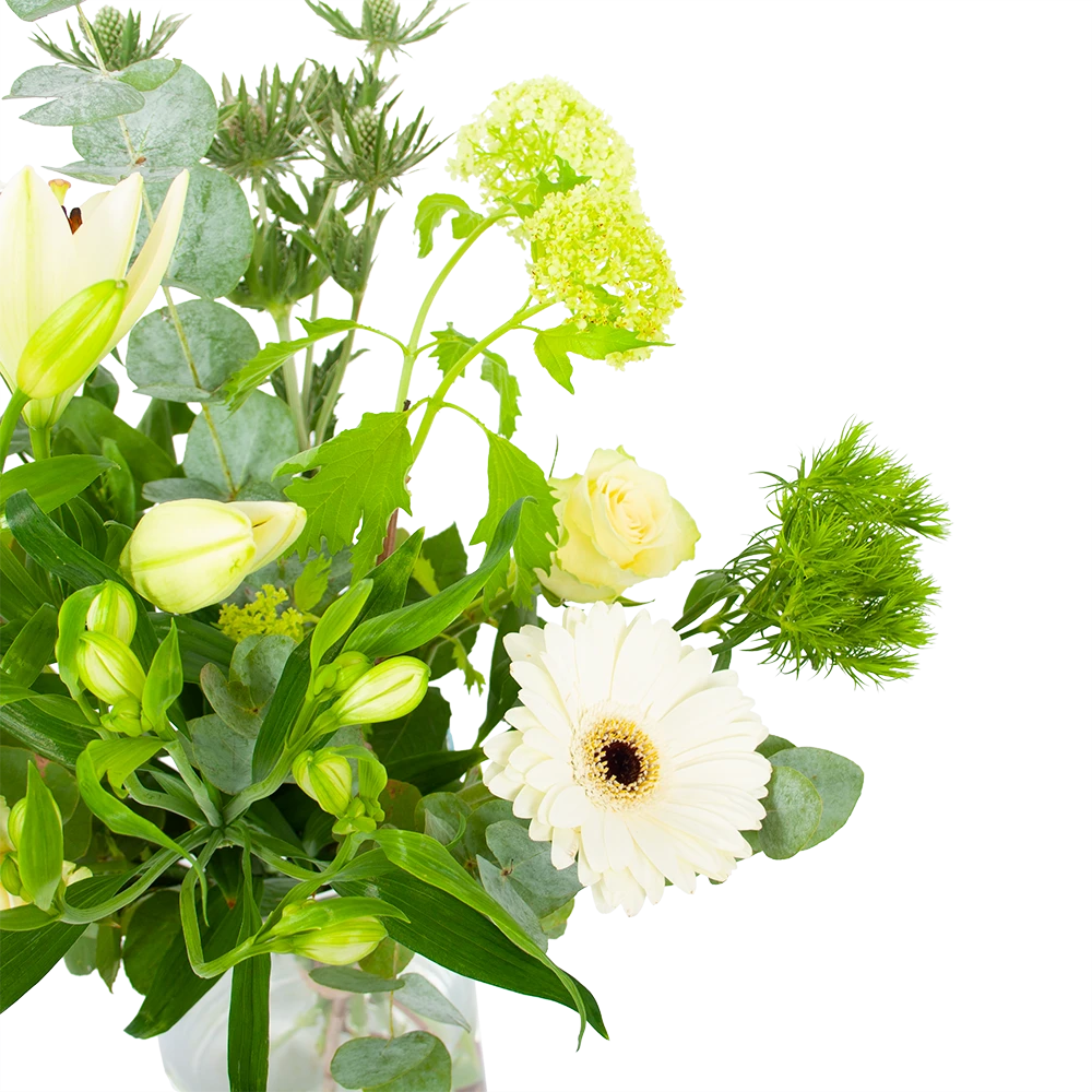 Boeket Wit Gebaar Groot 4 Boeket Wit Gebaar Groot - Afbeelding 2