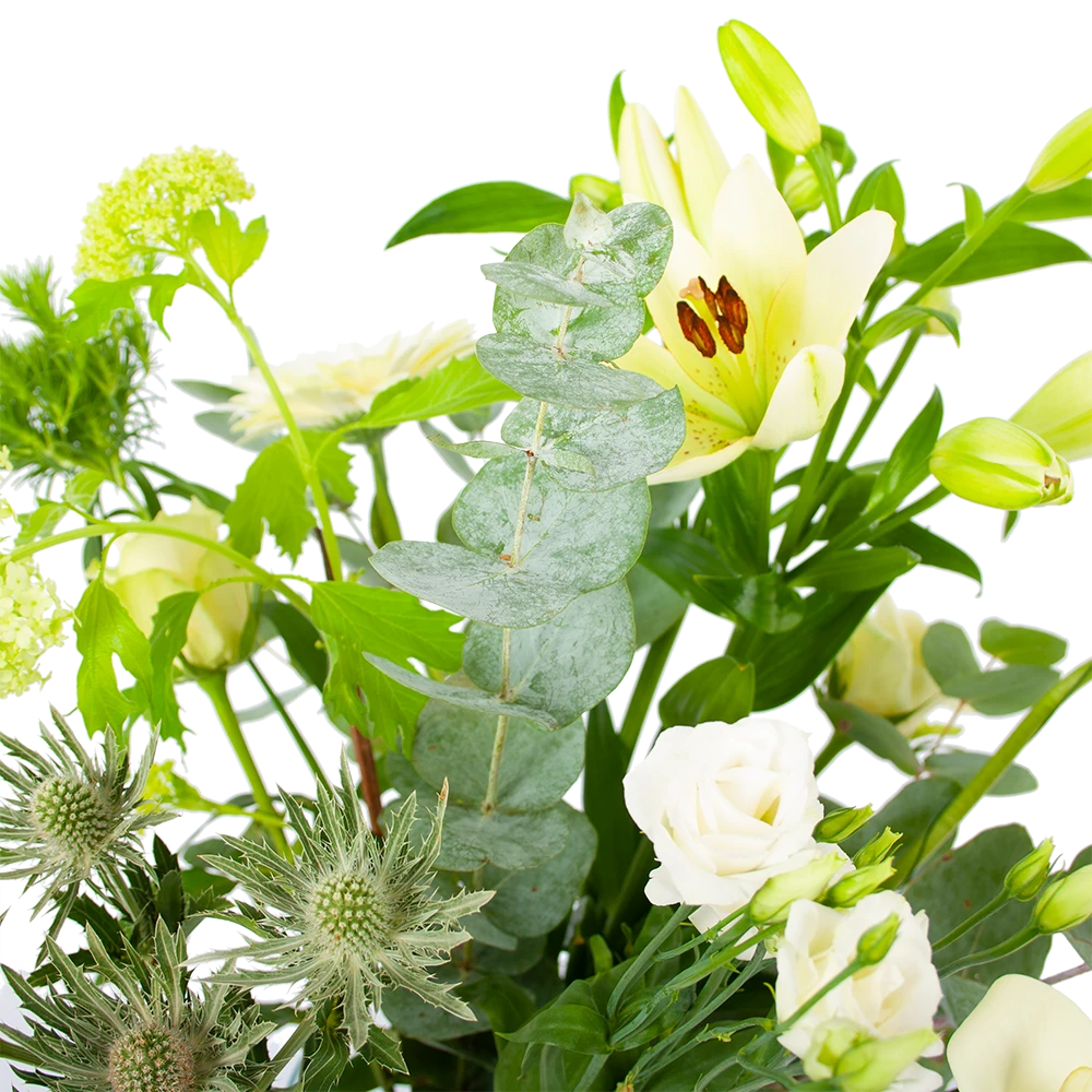 Boeket Wit Gebaar Groot 5 Boeket Wit Gebaar Groot - Afbeelding 3