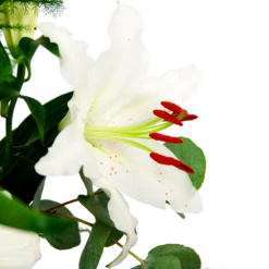 Boeket Witte Winter Klein 11 Boeket Witte Winter Klein -FloraHome Verkoopwinkel boeket witte winter boeketten 4