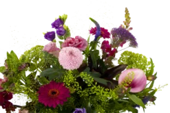 Boeket Zomerbries Middel -FloraHome Verkoopwinkel boeket zomerbries boeketten 3 5