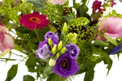 Boeket Zomerbries Groot -FloraHome Verkoopwinkel boeket zomerbries boeketten 4 5 1