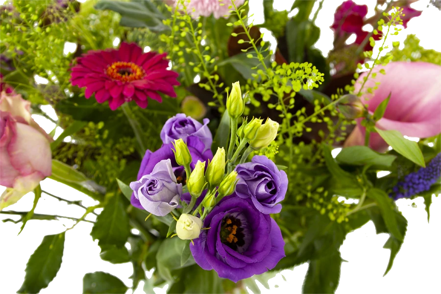 Boeket Zomerbries Klein 6 Boeket Zomerbries Klein - Afbeelding 4