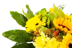 Boeket Zonnetje Groot -FloraHome Verkoopwinkel boeket zonnetje boeketten 4 1 2